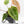 Anthurium NSE Red Crystallinum x Crystallinum Variegated (wk17-UY)