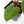 Anthurium NSE Red Crystallinum x Antolakii (BVEP) (wk17-A)
