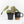 Anthurium NSE Red Crystallinum x Antolakii (BVEP) (wk17-A)