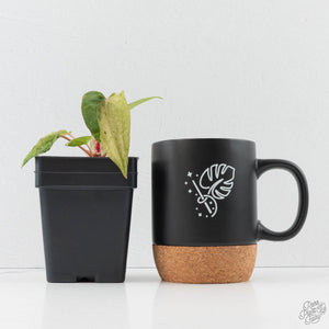 Anthurium Portillae x Ace of Spades Variegated (wk40-U157)