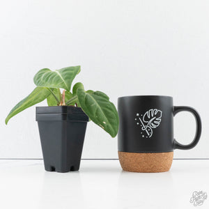 Anthurium villenaorum (wk39-L307)