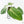 Anthurium villenaorum (wk39-L307)