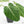 Anthurium villenaorum (wk39-L307)