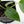 Anthurium Warocqueanum Dark Form x Luxurians (wk44-U198)