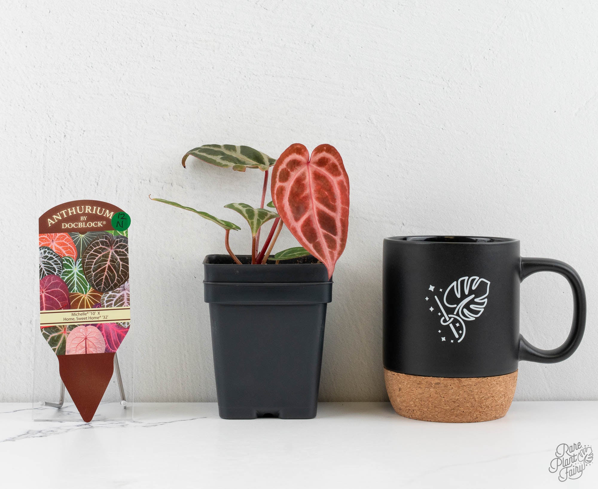 Anthurium Michelle '10' x Home, Sweet Home '32' by DocBlock® (wk12