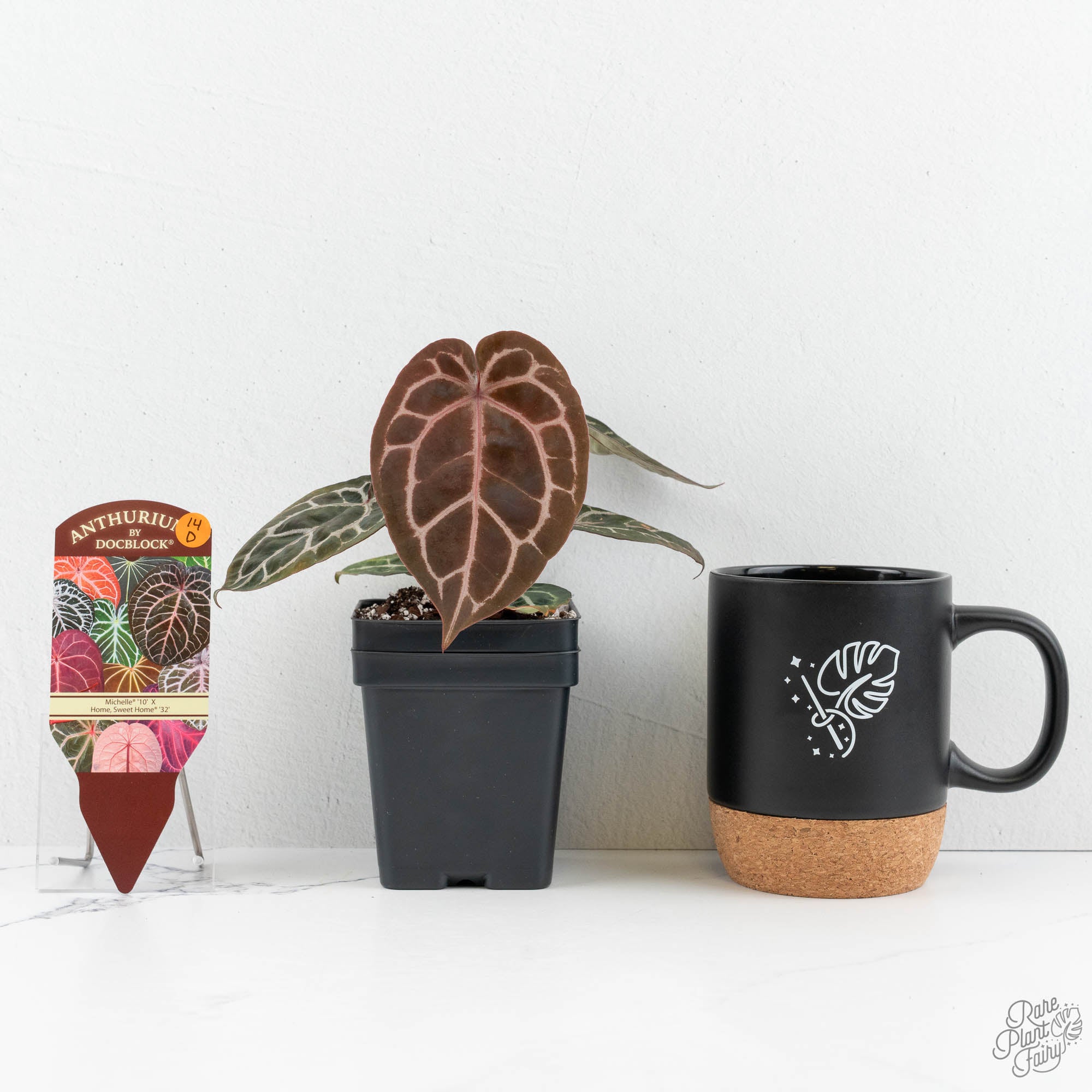 mevi mame botanical Anthurium Michelle '10' x Home, Sweet Home '32' by DocBlock® (wk14