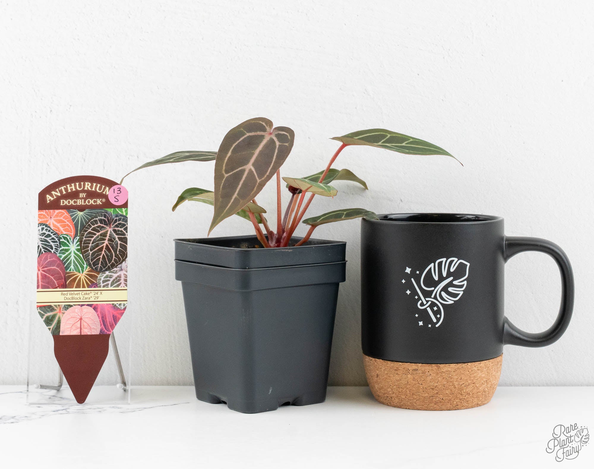 Anthurium Red Velvet Cake '24' x Zara '29' by DocBlock® (wk13-S