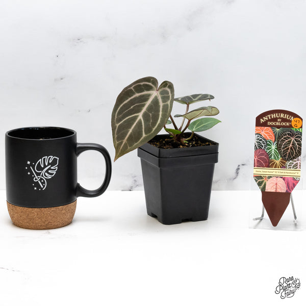 Anthurium Home, Sweet Home '32' x Dark & Handsome '9' by DocBlock® (wk47-G)