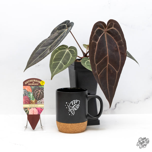 Anthurium Red Velvet Cake '24' x Zara '29' by DocBlock® (wk46-V)