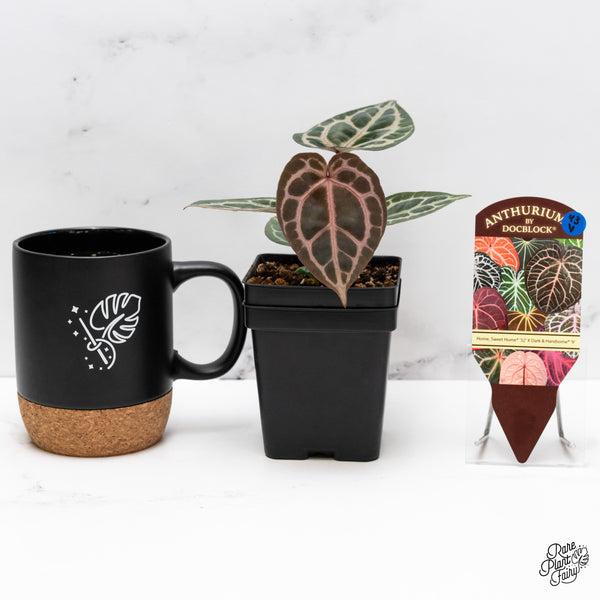 Anthurium Home, Sweet Home '32' x Dark & Handsome '9' by DocBlock® (wk43-V)