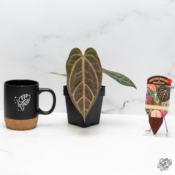 Anthurium Home, Sweet Home '32' x Dark & Handsome '9' by DocBlock® (wk44-R)