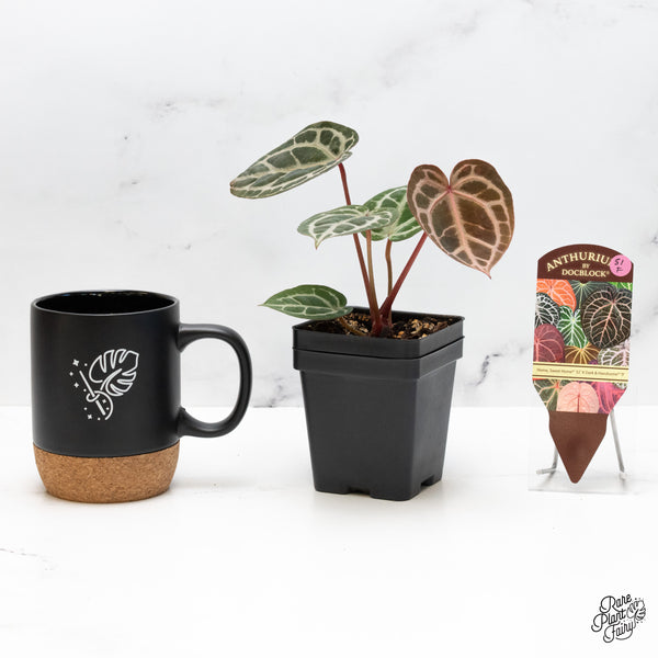 Anthurium Home, Sweet Home '32' x Dark & Handsome '9' by DocBlock® (wk51-F)