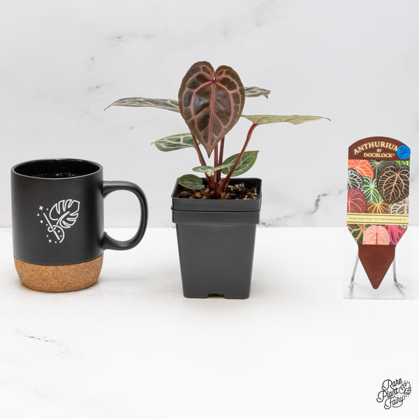 Anthurium Home, Sweet Home '32' x Dark & Handsome '9' by DocBlock® (wk52-J)