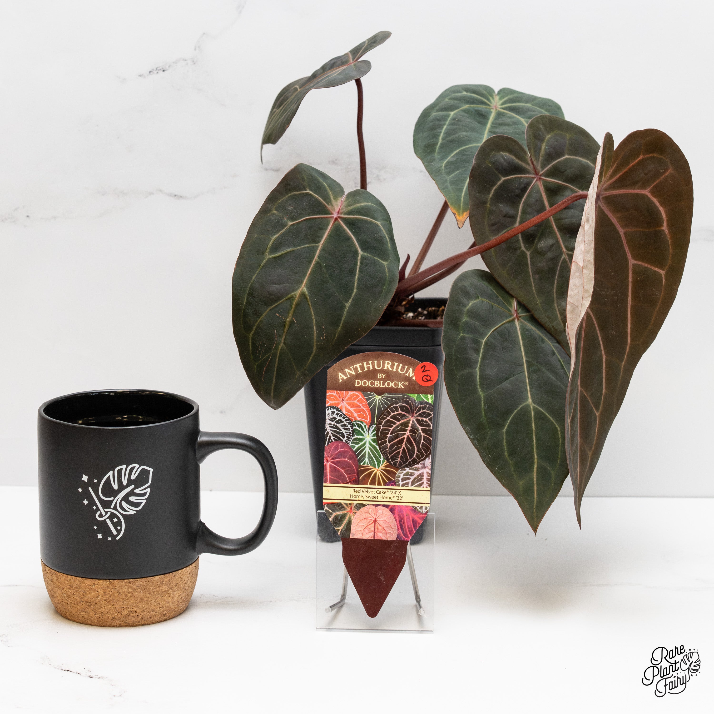 Anthurium Red Velvet Cake '24' x Home, Sweet Home '32' by DocBlock