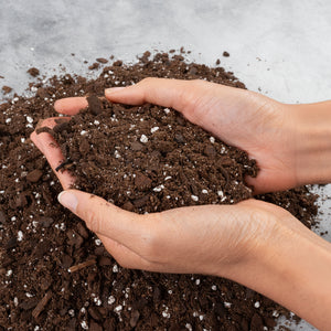 RPF Aroid Balanced Soil Mix - 1 Gallon