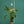 Aspect™ Grow Light with Stello™ Pendant Stand Set