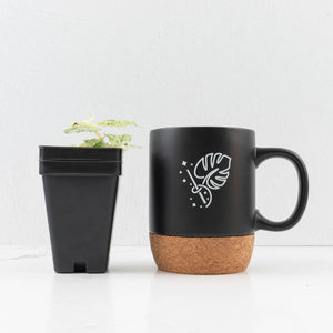 Begonia 'Peppermint' / Variegated Pellionia Repens (wk34-L63)