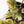 Begonia 'Dainty Spray' Sport Variegated (wk38-L278)