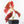 Begonia Maculata Pink Variegated (wk25-B)