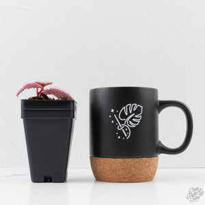 Begonia 'Pink Urchin' (wk38-L288)