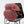 Begonia 'Pink Urchin' (wk38-L288)