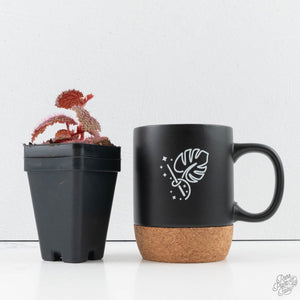 Begonia 'Pink Urchin' (wk39-L292)