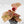 Begonia Semperflorens Pink Variegated (wk44-U197)
