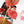 Begonia semperflorens pink variegated (wk35-U110)