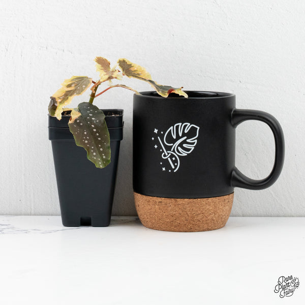 Begonia 'Dainty Spray' Sport Variegated (wk2-M)