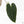 Anthurium Black Widow '43' x Red Velvet Cake '24' by DocBlock® (wk25-M)