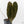 Anthurium Black Widow '43' x Red Velvet Cake '24' by DocBlock® (wk43-L394)