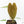 Anthurium Black Widow '43' x Zara '14' by DocBlock® (wk21-A)