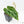 Anthurium Briëlle '16' x Black Widow '13' by DocBlock®  (wk20-B)
