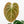 Anthurium Briëlle '16' x Black Widow '13' by DocBlock®  (wk29-E)