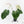 Anthurium DocBlock Briëlle '16' x Lynette '18' by DocBlock® (wk28-C)
