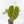 Anthurium DocBlock Briëlle '16' x Lynette '18' by DocBlock® (wk28-C)
