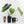 Anthurium DocBlock Briëlle '16' x Lynette '18' by DocBlock® (wk35-L86)