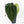 Anthurium Brown Derby '39' x Brown Derby '39' by DocBlock® (wk21-M)