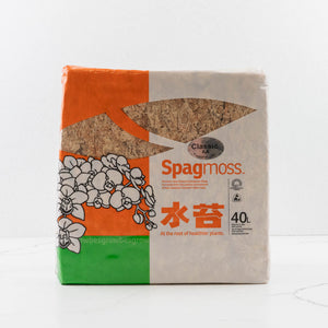 Besgrow Spagmoss 500g Classic AA New Zealand Sphagnum Moss