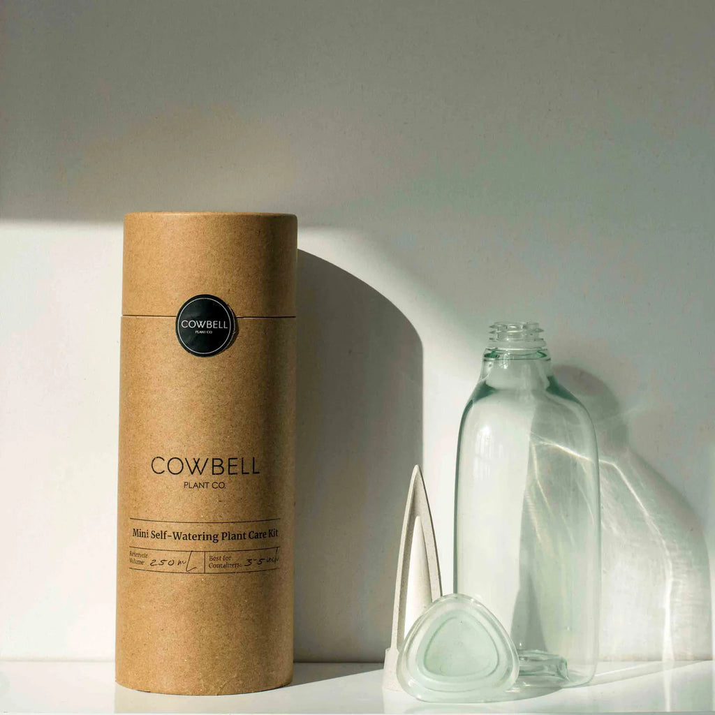 best self watering plants Cowbell Mini Self-Watering Plant Care Kit (250mL)