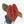 Anthurium Crystal Red '12' x Michelle '1' by DocBlock® (wk34-L52)