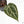 Anthurium Crystal Red '12' x Zara '14' by DocBlock® (wk19-C)