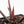 Anthurium Crystal Red '12' x Zara '14' by DocBlock® (wk27-M)