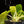 Load image into Gallery viewer, Philodendron &#39;Burle Marx&#39; mint variegated (A17)
