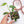 Load image into Gallery viewer, Epipremnum pinnatum albo variegated *Grower&#39;s choice*
