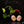 Load image into Gallery viewer, Scindapsus &#39;Jade Satin&#39; aurea variegated (B17)
