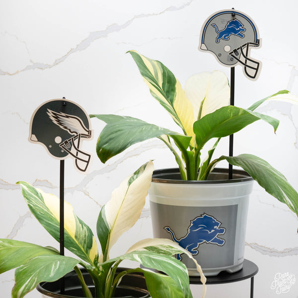 Detroit Lions 7.5 in Pots™ (Made in USA) 2pc/set