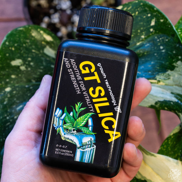 GT Silica (250 ml)