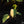 Load image into Gallery viewer, Philodendron micans aurea variegated (E18)

