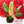 Load image into Gallery viewer, Epipremnum giganteum variegated (A06)
